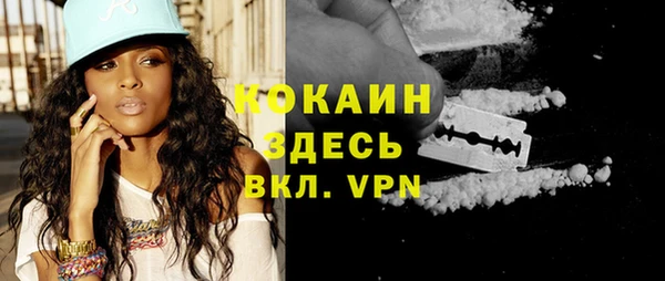 a pvp Новозыбков