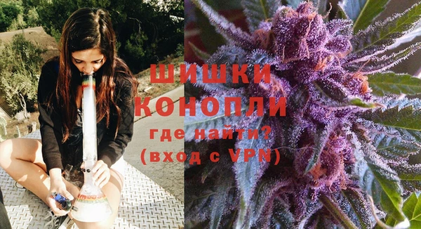 a pvp Новозыбков