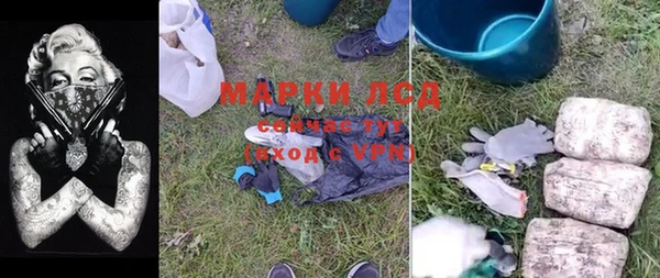 a pvp Новозыбков
