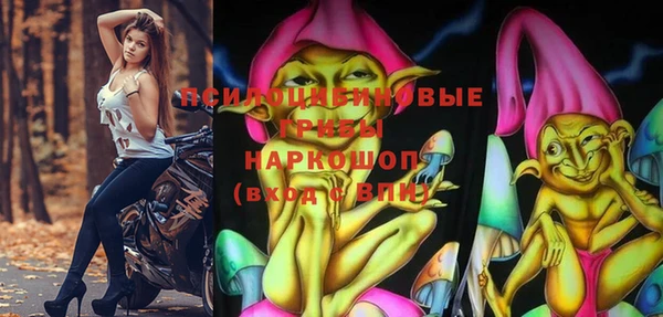 a pvp Новозыбков