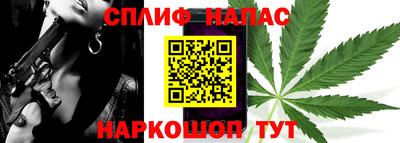шишки Дубна