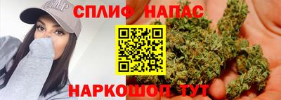 шишки Дубна