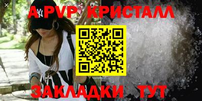 шишки Дубна