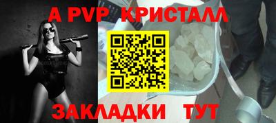 шишки Дубна