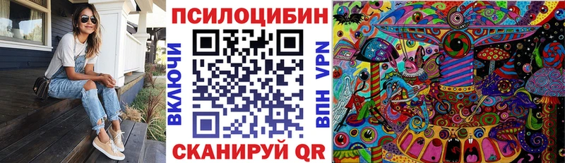 Галлюциногенные грибы Psilocybe  где купить наркоту  Чистополь 