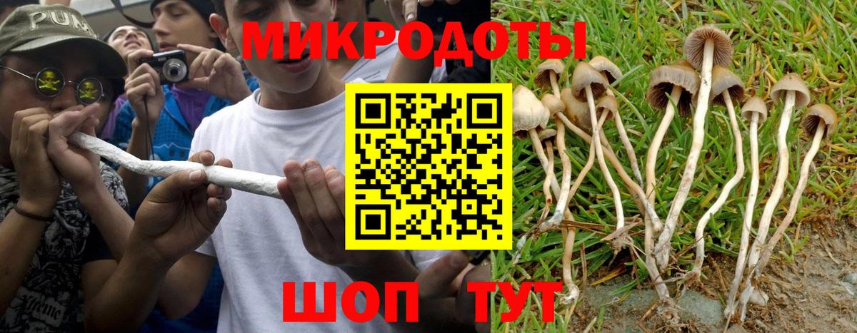 Чистополь  где можно купить   Псилоцибиновые грибы Magic Shrooms  Вход с VPN  Псилоцибиновые грибы ЛСД 